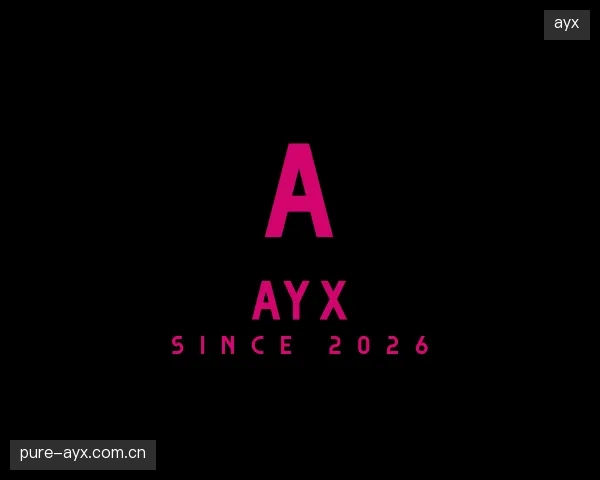 关于ayx团队
